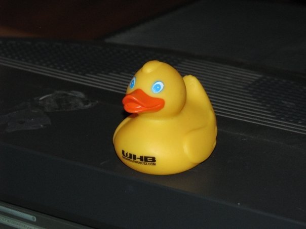 WHBduck